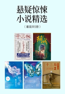 Selection of Suspense and Thriller Novels (set of 5 Volumes in Total)