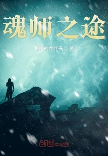 The Path of a Soul Master