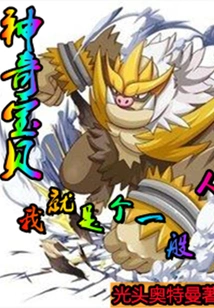 Pokémon: I'm Just an Ordinary Person