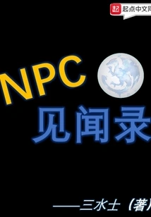Npc Information Record