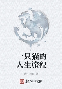 A Cat's Life Journey