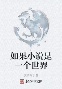 If a Novel is a World