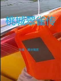 The Legend of Peach City Delphinium