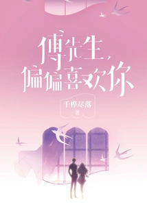 Mr. Fu, I Just Like You