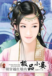 Once Through the Red Wall: the Best Concubine