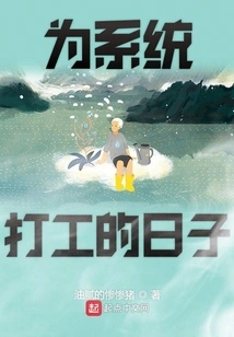 Days of Working on the System