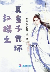 The True Prince Jia Huan of the Red Mansion