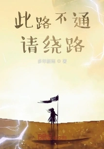 This Road is Blocked, Please Take a Detour