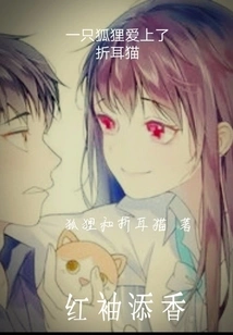 A Fox Falls in Love with a Folded Cat