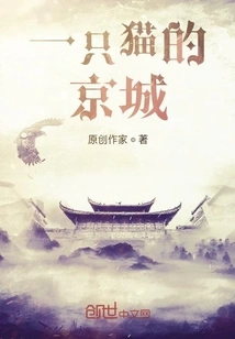 A Cat's Capital City