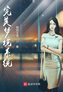 Perfect Dream System