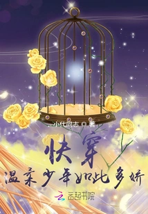 Quick Travel: Strategy for the Gentle Boy