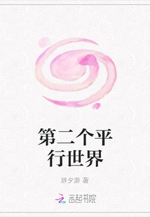 The Second Parallel World