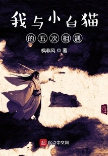 My Five Encounters with Little White Cats