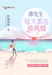 Mr. Shao is Being Divorced Every Day