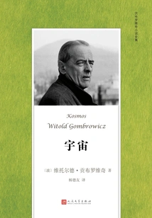 Universe (complete Novels by Gombrowicz)