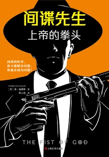 Mr. Spy: Fist of God