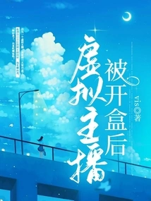 After the Virtual Anchor Was Opened