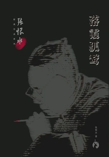 Solitary Duck in the Sunset