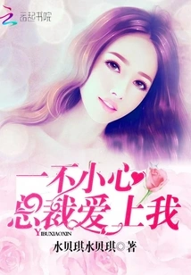 Accidentally, the President Fell in Love with Me