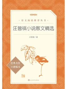 Selected Novels and Prose by Wang Zengqi