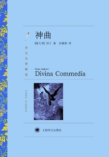 Divine Comedy (selected Translations of Famous Works)