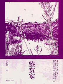 Connoisseur (life is Like a Mail: a Collection of Classic Works by Wang Zengqi)