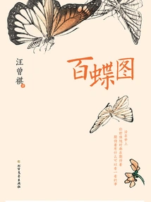 Hundred Butterflies Picture