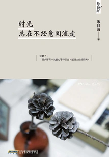 Time Always Passes by Inadvertently