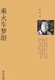 Sleepwalking by Train (yangzi Alligator Book Series·volume 2)