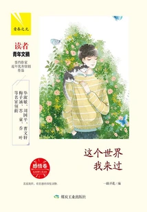 I've Been to This World·perception Volume