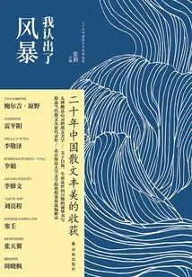 I Recognized the Storm