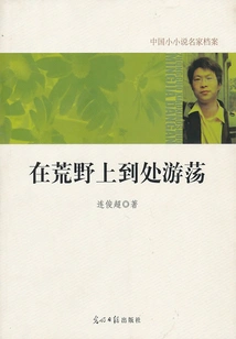 Wandering Around in the Wilderness