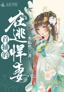 The Fugitive Wife of the Chief Assistant