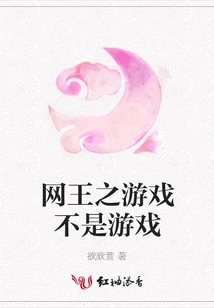 The Game of Net King is Not a Game