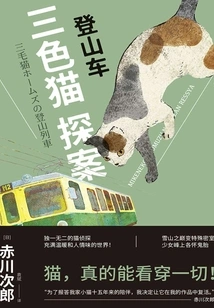 Calico Cat Detective: Mountain Bike