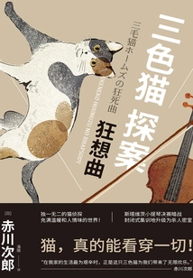 Calico Cat Detective: Rhapsody