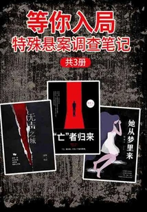 Waiting for You to Join the Game: Special Cold Case Investigation Notes (3 Volumes in Total)