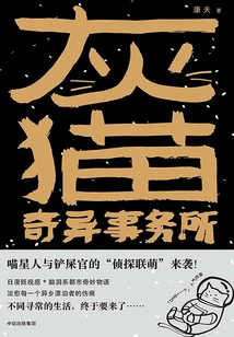 Gray Cat Strange Office