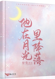 He Landed in the Moonlight