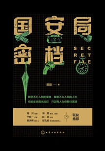 National Security Bureau Secret Files