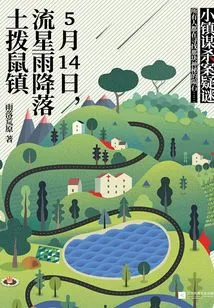 On May 14th, a Meteor Shower Descended on Marmot Town