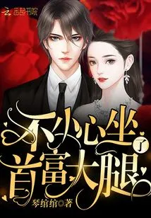 I Accidentally Sat on the Lap of the Richest Man