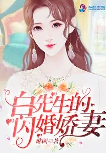 Mr. Bai's Flash Marriage Wife