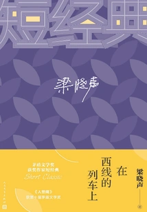 On the Western Line Train