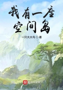 I Have a Space Island