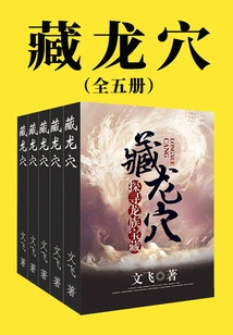 Hidden Dragon's Cave (five Volumes in Total)