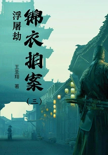 The Crime in Brocade Clothes (3): the Pagoda Robbery