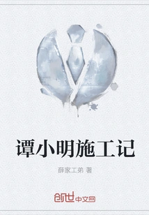 Tan Xiaoming's Construction Notes