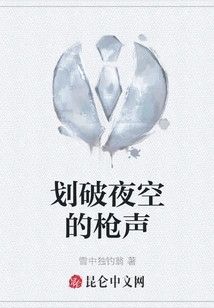 Gunshots Piercing the Night Sky